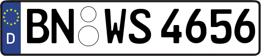 BN-WS4656