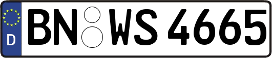 BN-WS4665
