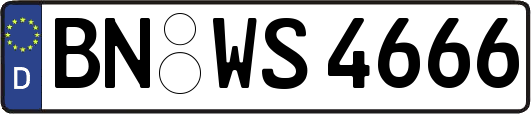 BN-WS4666