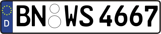 BN-WS4667