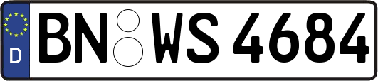 BN-WS4684