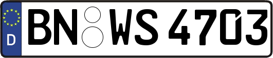BN-WS4703