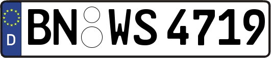 BN-WS4719