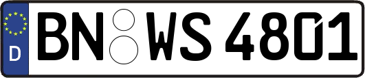 BN-WS4801