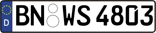 BN-WS4803