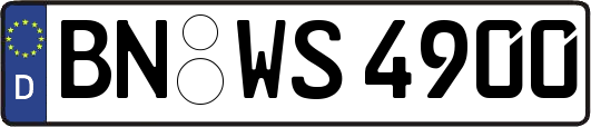 BN-WS4900