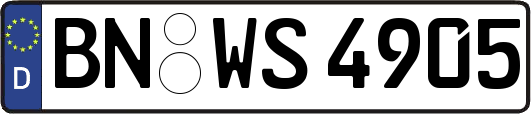 BN-WS4905