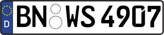BN-WS4907