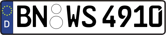 BN-WS4910