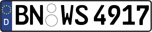 BN-WS4917