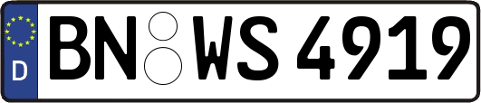 BN-WS4919