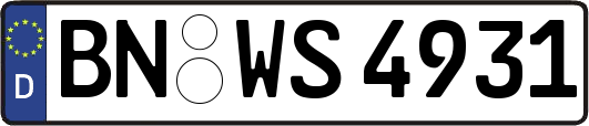 BN-WS4931