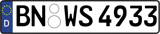 BN-WS4933