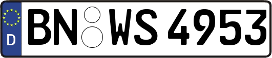 BN-WS4953