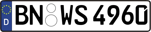 BN-WS4960