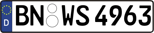 BN-WS4963