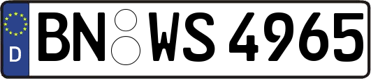 BN-WS4965
