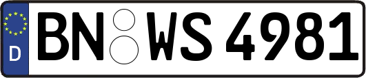 BN-WS4981