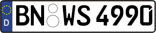 BN-WS4990