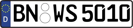 BN-WS5010