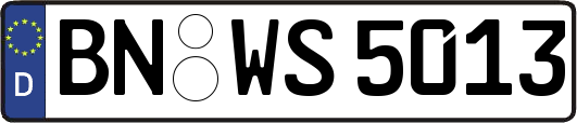 BN-WS5013