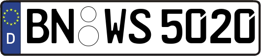 BN-WS5020