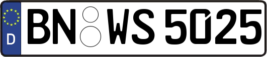 BN-WS5025