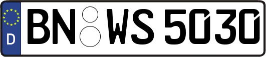 BN-WS5030