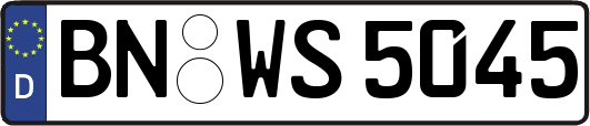 BN-WS5045