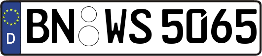 BN-WS5065