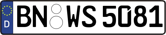 BN-WS5081