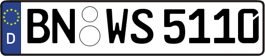 BN-WS5110