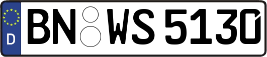 BN-WS5130