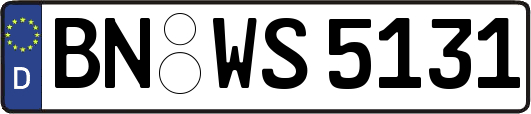 BN-WS5131