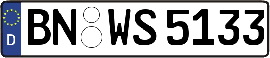 BN-WS5133