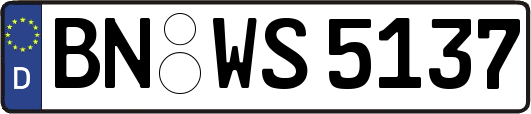 BN-WS5137
