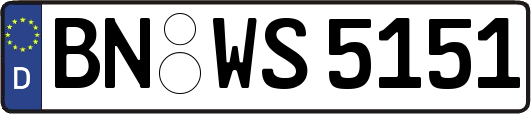 BN-WS5151