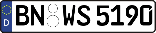 BN-WS5190