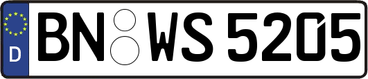 BN-WS5205