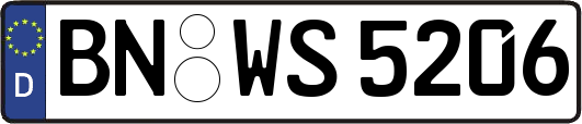 BN-WS5206