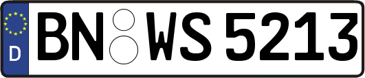 BN-WS5213