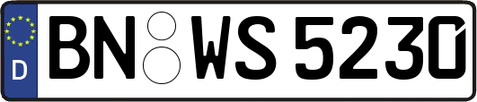BN-WS5230
