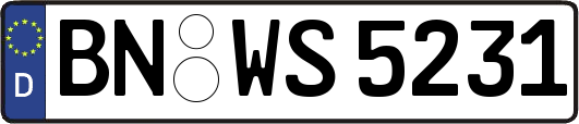 BN-WS5231