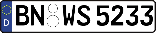 BN-WS5233