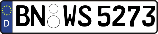 BN-WS5273