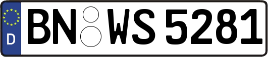 BN-WS5281