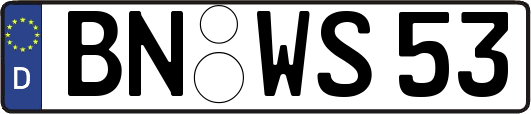 BN-WS53