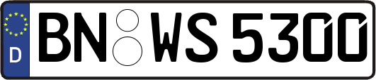 BN-WS5300