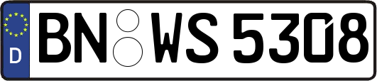 BN-WS5308