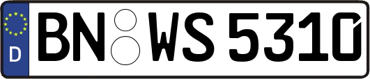 BN-WS5310